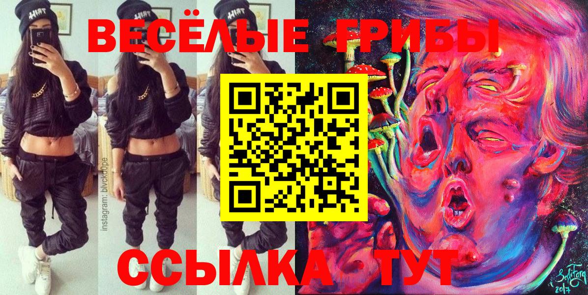 Псилоцибиновые грибы Cubensis Дальнереченск